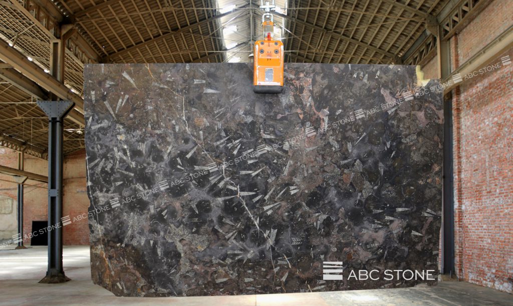 Fossil Black ABC Stone ABC Stone