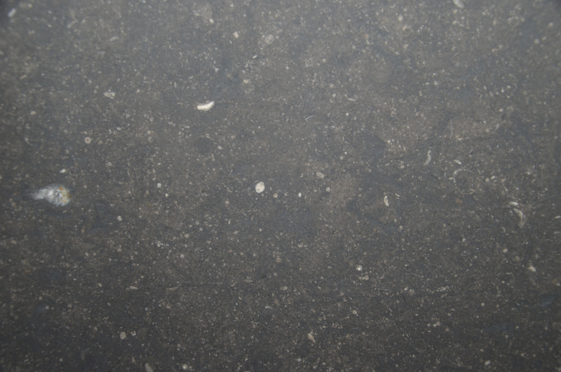 Petit Granit Antique - ABC Stone : ABC Stone