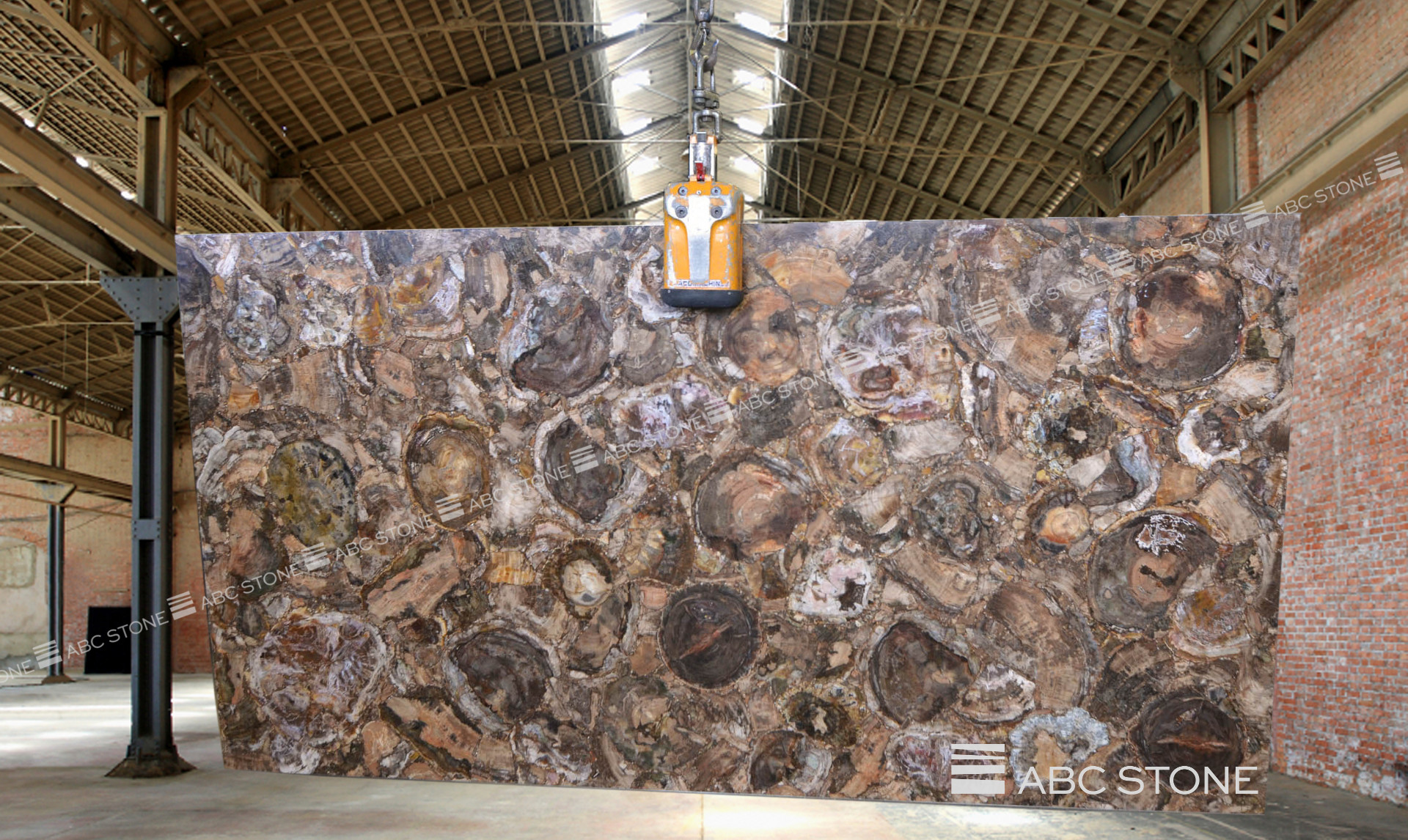 Petrified Wood ABC Stone ABC Stone